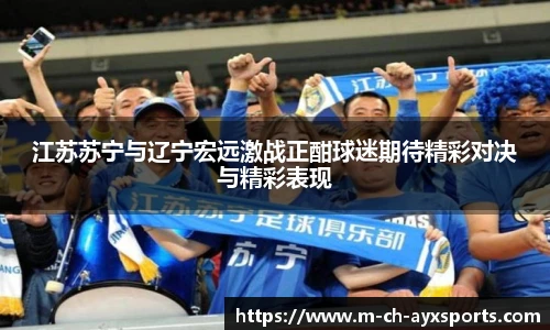 江苏苏宁与辽宁宏远激战正酣球迷期待精彩对决与精彩表现