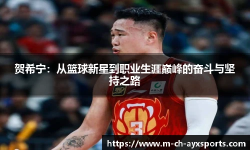 贺希宁：从篮球新星到职业生涯巅峰的奋斗与坚持之路